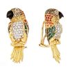Caique Parrot Earrings