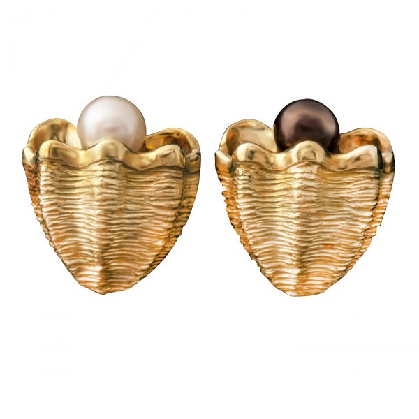 Giant Clam Shell Earrings